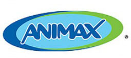 Entrevista com a gerente de marketing do canal Animax no Brasil